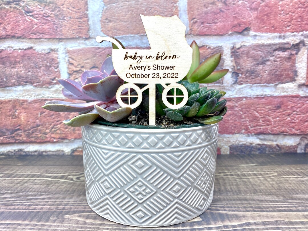 Baby in Bloom Baby Shower, Baby in Bloom Tags, Succulent Sticks